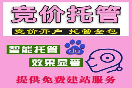 行业领先：竞价SEM托管案例剖析